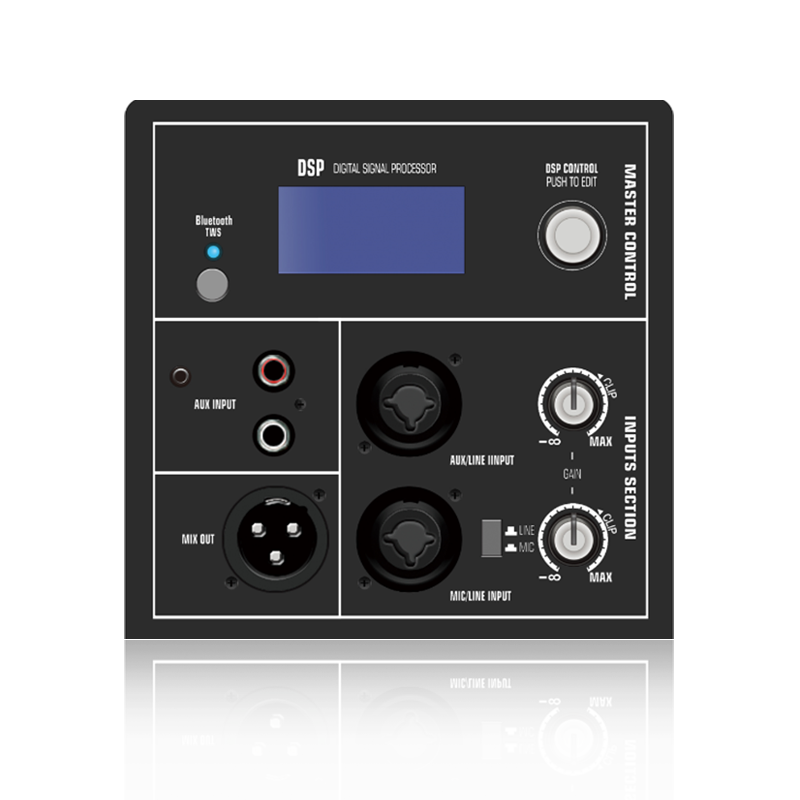 DSP1901: Stereo RCA Input with Single-nodo DSP Control ADAU1701 Based DSP Munus Module