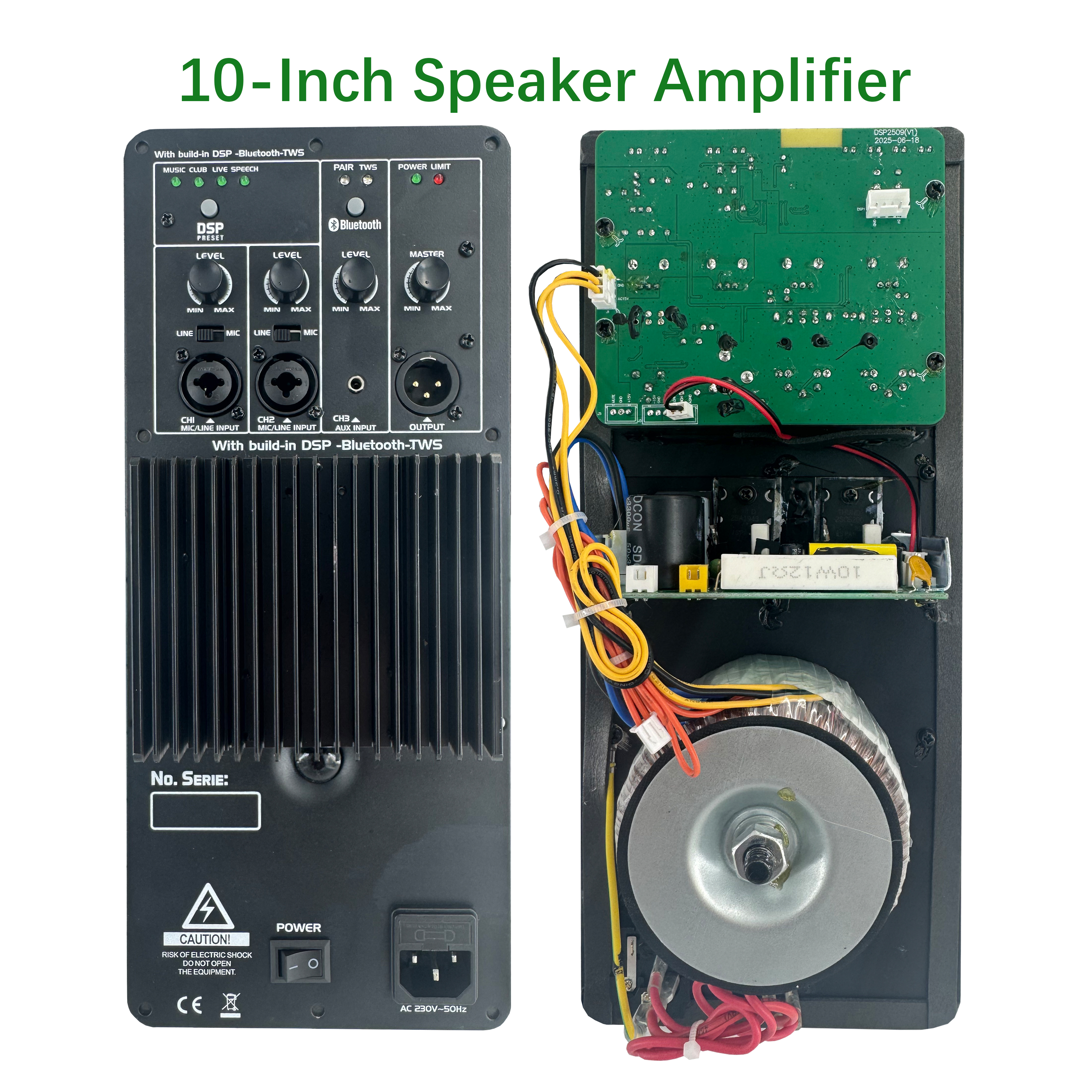 DSP2509 High Cost-perficiendi Multi-functioni Class AB Amplifier with DSP
