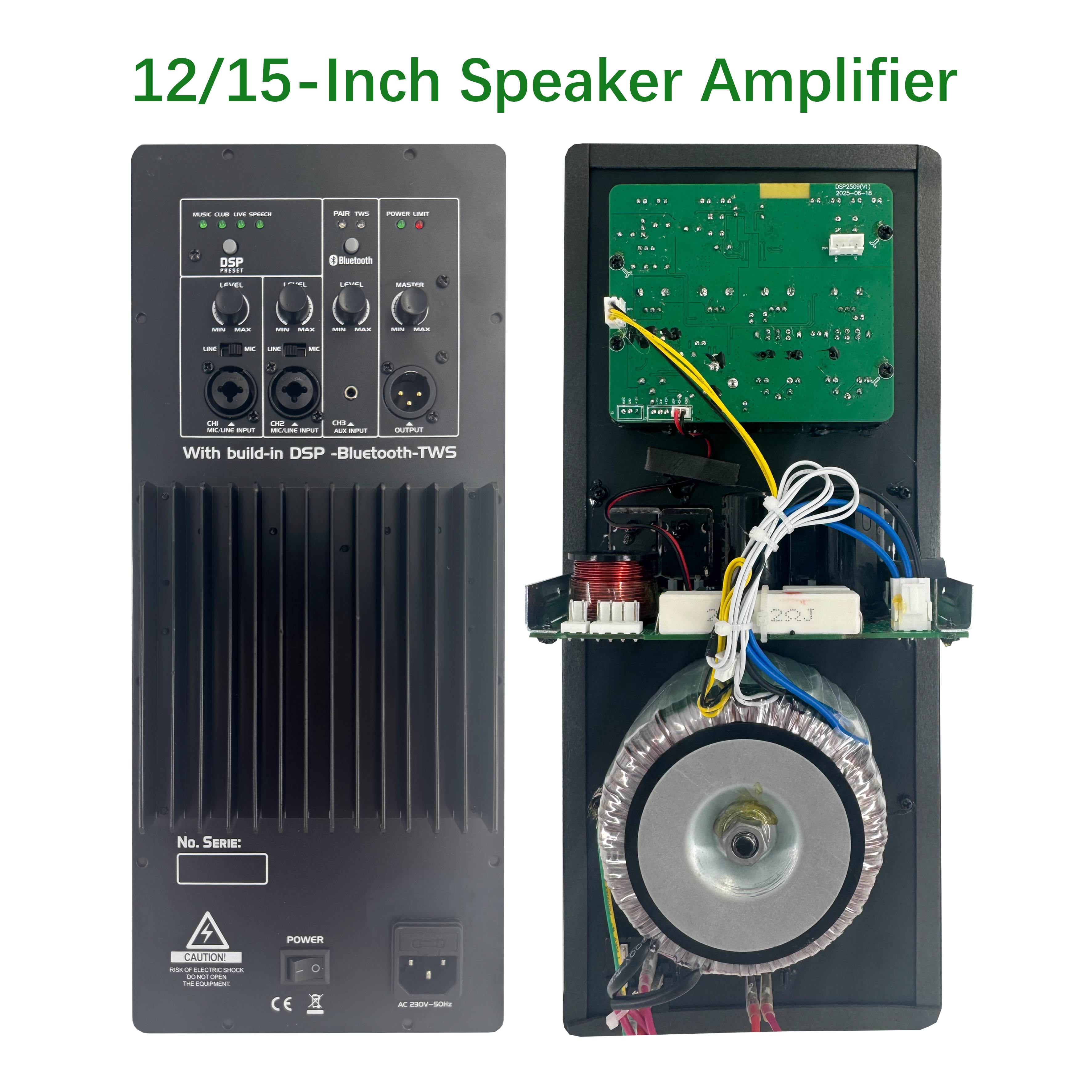 DSP2509 High Cost-perficiendi Multi-functioni Class AB Amplifier with DSP
