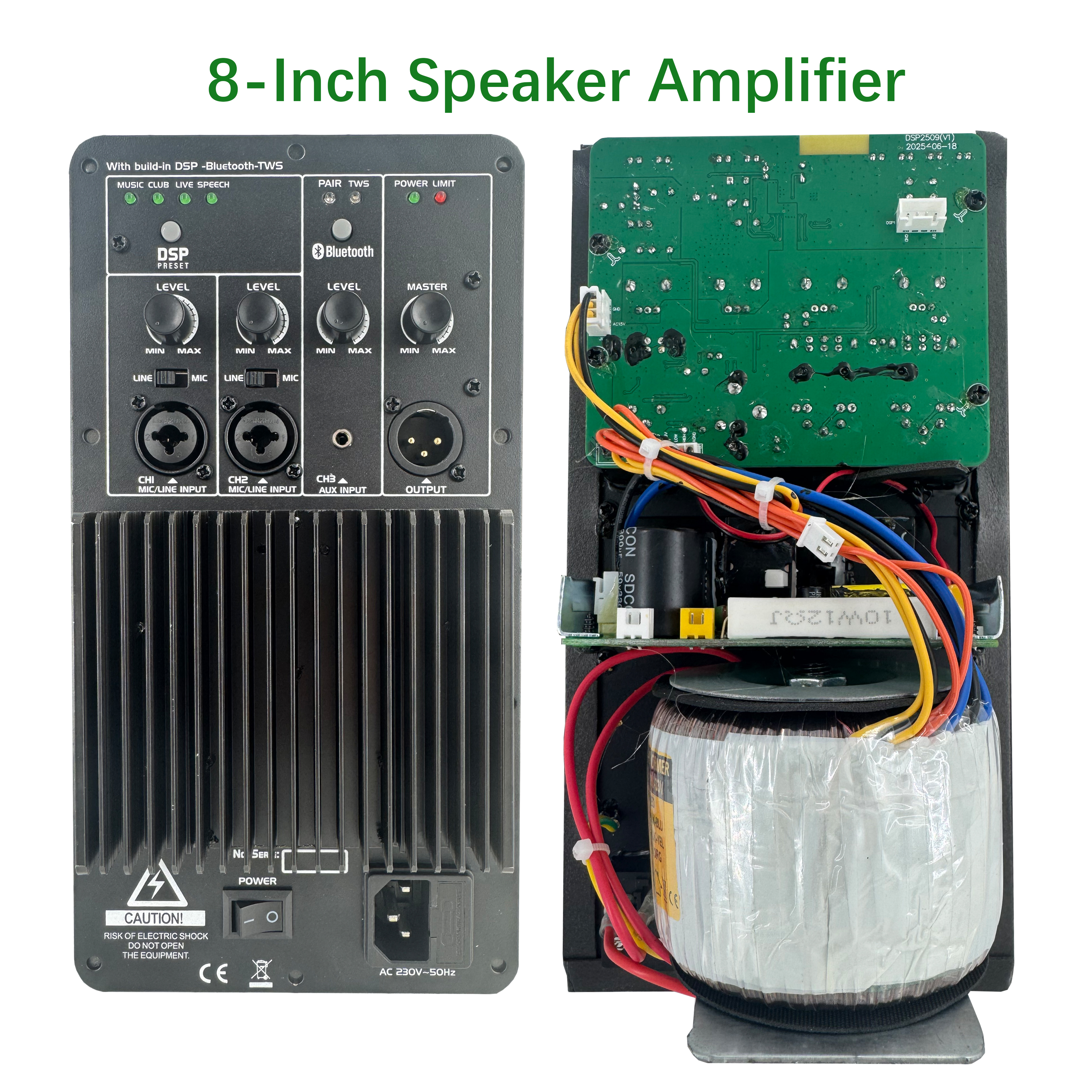 DSP2509 High Cost-perficiendi Multi-functioni Class AB Amplifier with DSP
