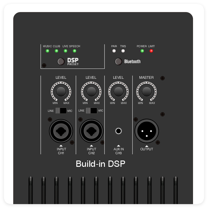 DSP2509 High Cost-perficiendi Multi-functioni Class AB Amplifier with DSP